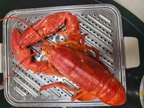 Live Maine Lobster photo review
