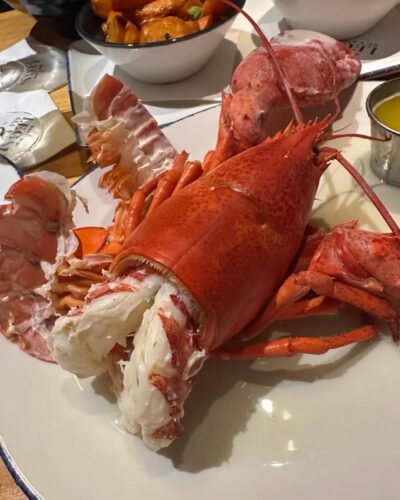 Live Maine Lobster photo review