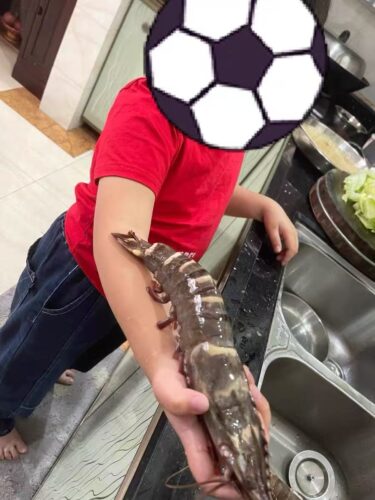 Colossal Black Tiger Prawns photo review